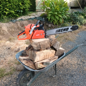 Photo de galerie - Elagage et coupe d'arbres