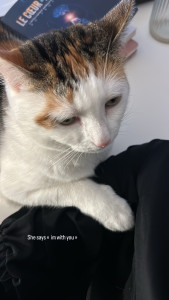 Photo de galerie - Câlin 