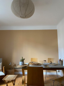 Photo de galerie - PARIS 15ème-conseil couleur et travaux de peinture