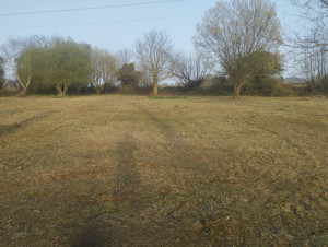 Photo de galerie - Broyage 