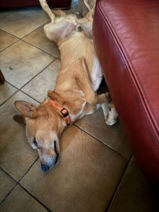 Photo de galerie - Tobi - 07/26