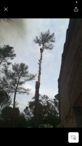 Photo de galerie - Abattage sous toiture