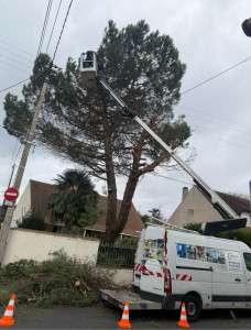 Photo de galerie - Bonjour, je suis paysagiste-jardinier, spécialisé dans l’élagage, l’abattage d’arbres, la taille de haies, le débroussaillage et l’entretien des jardins.  