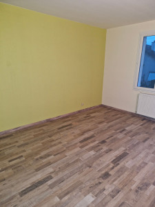 Photo de galerie - Pose parquet + rénovation et peinture des murs et plafond 