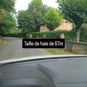 Photo de galerie - Taille de 67m de haie 