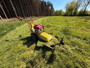Photo de galerie - Tonte de pelouse - Débroussaillage