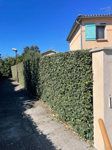 Photo de galerie - Après