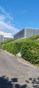 Photo de galerie - Entretien 