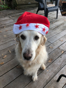 Photo de galerie - Jessie... habituée des lieux...