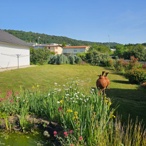 Photo de galerie - Jardin
