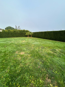 Photo de galerie - Taille de haie 