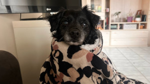 Photo de galerie - Garde de l’adorable Yuki!