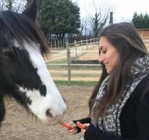 Photo de galerie - Gestion chevaux, travail en longe, nourrissage foin et grains, eau. brossage
