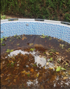 Photo de galerie - Entretien piscine