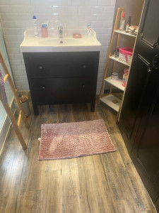 Photo de galerie - Salle de bain : dépoussiérée, aspirer et laver 