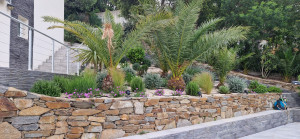 Photo de galerie - Jardinier vous propose multiples service 
es 
