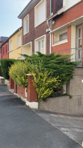 Photo de galerie - Taille de haies et d'arbustes