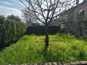 Photo de galerie - Tonte dune petite surface 