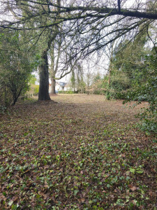 Photo de galerie - Après 