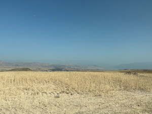 Photo de galerie - Nature, oxygène. 