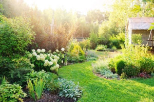 Photo de galerie - Paysagiste - Aménagement du jardin
