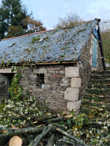 Photo de galerie - Réparation de toiture