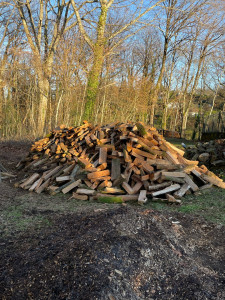 Photo de galerie - Bois de chauffage 