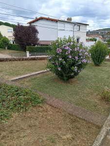 Photo de galerie - Jardin après 