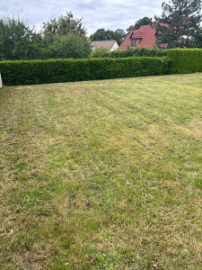 Photo de galerie - Tonte de pelouse - Débroussaillage