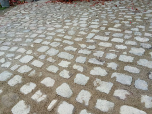 Photo de galerie - Paysagiste - Aménagement du jardin