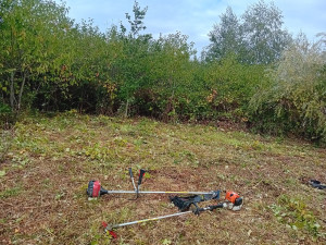 Photo de galerie - 1