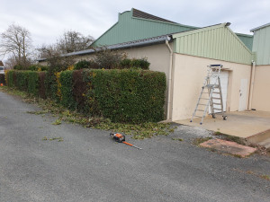 Photo de galerie - Entretien de haie 