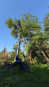 Photo de galerie - Élagage, nacelle, araignée