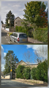 Photo de galerie - Coupe arbres élagage 