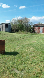 Photo de galerie - Nettoyage des arbres et élagage 