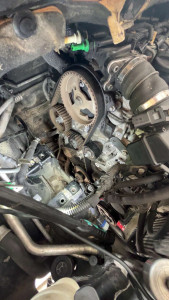 Photo de galerie - Distribution 1L6 hdi 