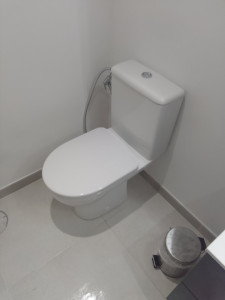 Photo de galerie - Pose  toilettes 