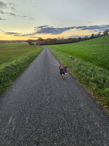 Photo de galerie - Des vacances a la campagne et de l'espace illimité pour jouer et courir. Que demandé de plus pour nos loulous ? ?❤️
