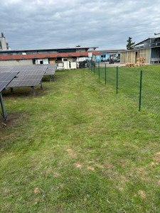 Photo de galerie - Tonte de pelouse - Débroussaillage