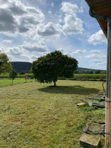 Photo de galerie - Après 