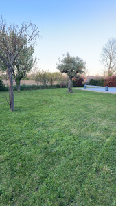 Photo de galerie - Tonte de pelouse 