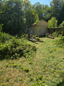 Photo de galerie - Abattage de 2 arbres 