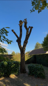 Photo de galerie - Travaux réalisés sur romorantin Lanthenay