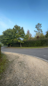 Photo de galerie - Taille de haies (bocagères)