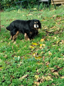 Photo de galerie - Fouzik 10 ans 