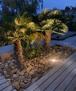 Photo de galerie - Création d’une ambiance.