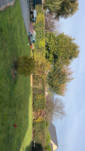 Photo de galerie - Après