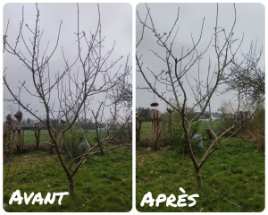 Photo de galerie - Jardinier