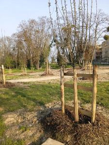 Photo de galerie - Jardinage