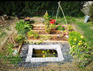 Photo de galerie - Carré de permaculture 